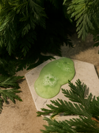 Green slime-like substance on a stone surface with green leaves in the background Suvéra Gloss Shampoo in smoky green vetiver — pale green foam swirling on stone with cedar sprigs, natural vegan self care skincare, sulfate free